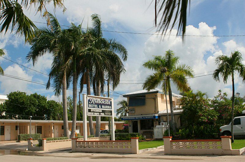 Click to See Next Image